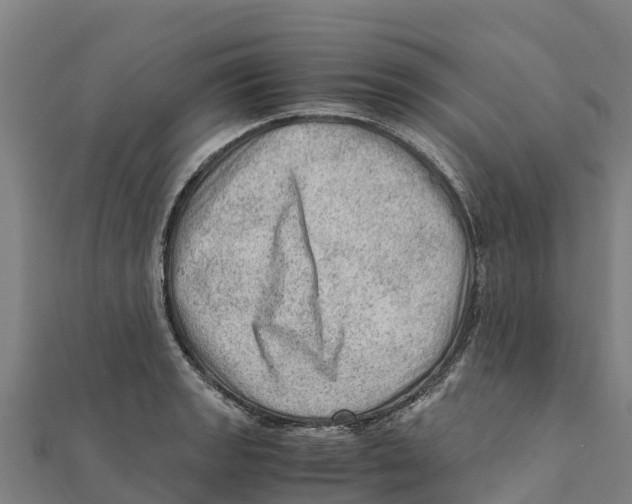 X0000111601133200908131357