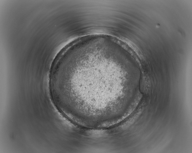 X0000111601134200908131357