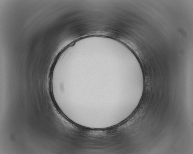X0000111601135200908131357