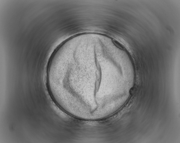 X0000111601136200908131357