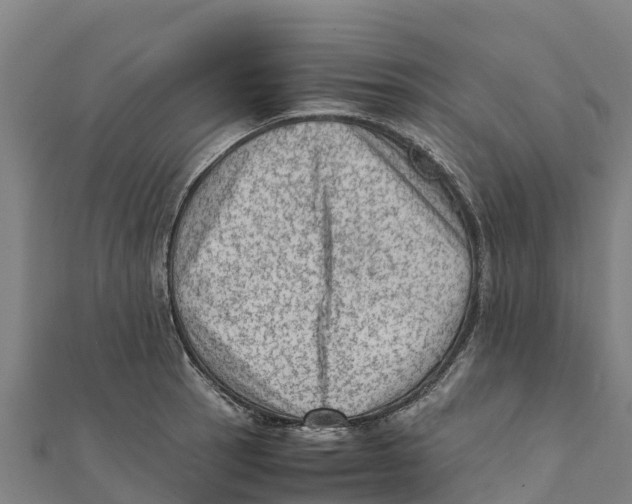 X0000111601137200908131357