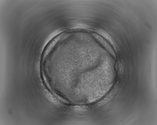 X0000111601138200908131357