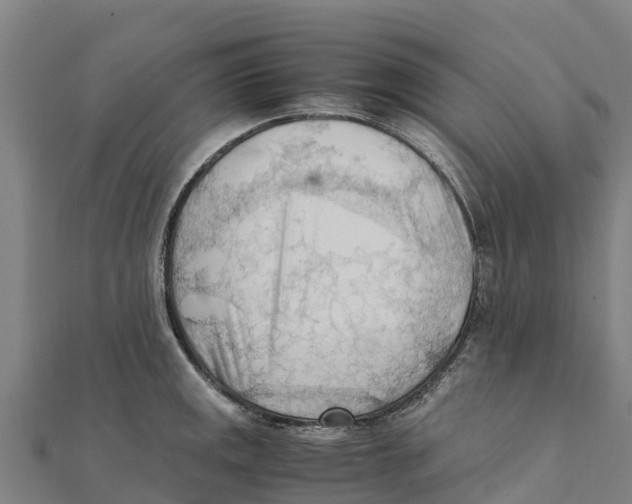 X0000111601141200908131357