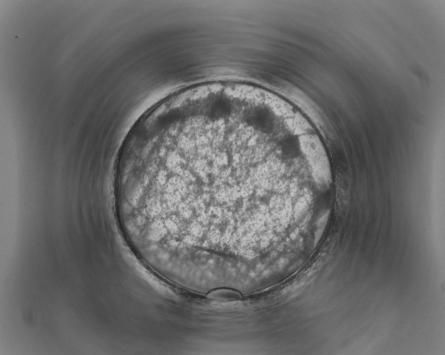 X0000111601142200908131357