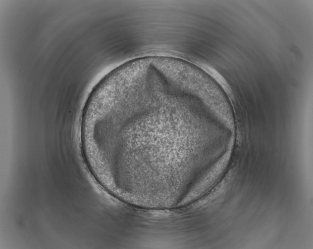 X0000111601144200908131357