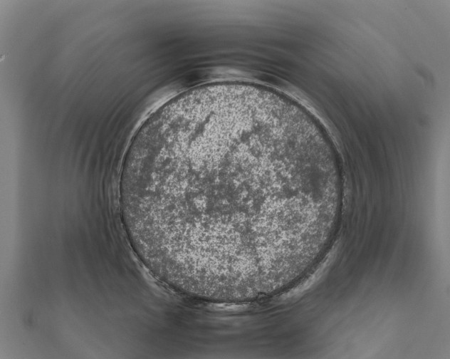 X0000111601145200908131357