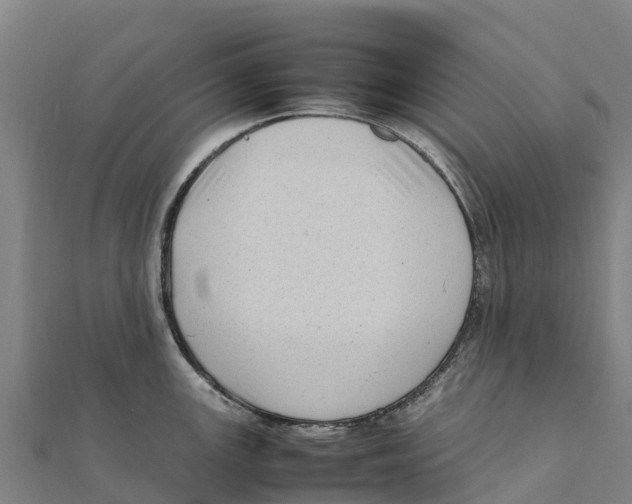 X0000111601147200908131357