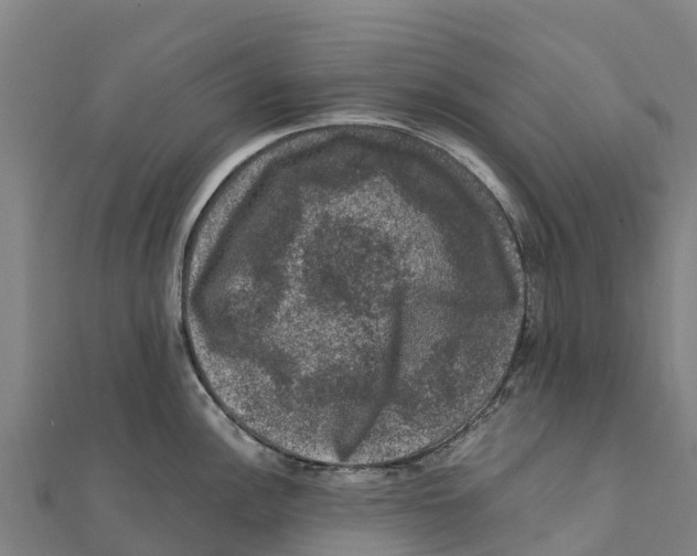 X0000111601148200908131357