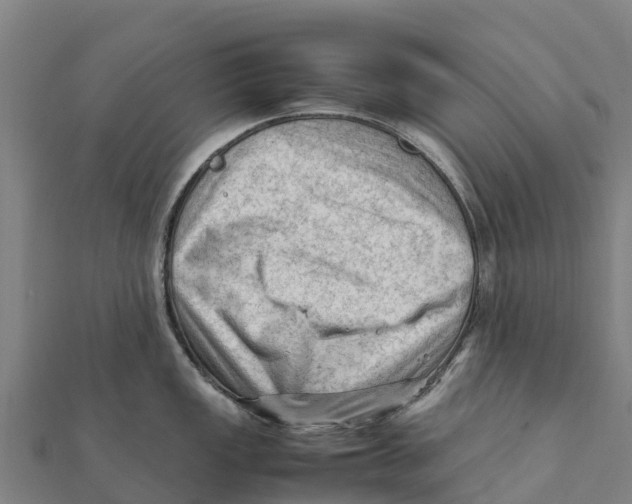 X0000111601149200908131357