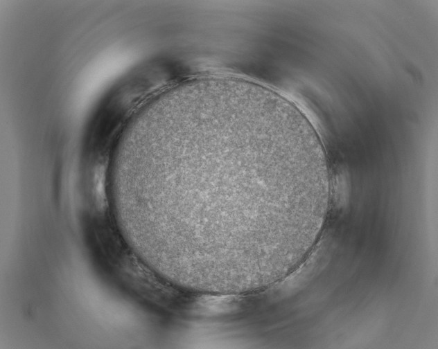 X0000111601150200908131357
