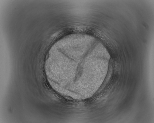 X0000111601153200908131356