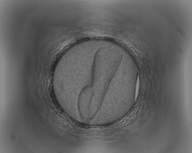 X0000111601157200908131356