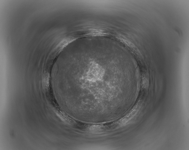 X0000111601161200908131356