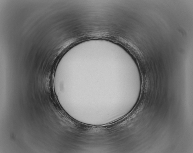 X0000111601162200908131356
