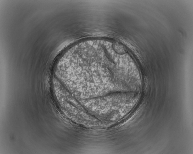 X0000111601163200908131356