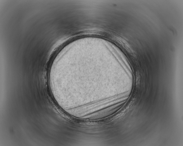 X0000111601164200908131356
