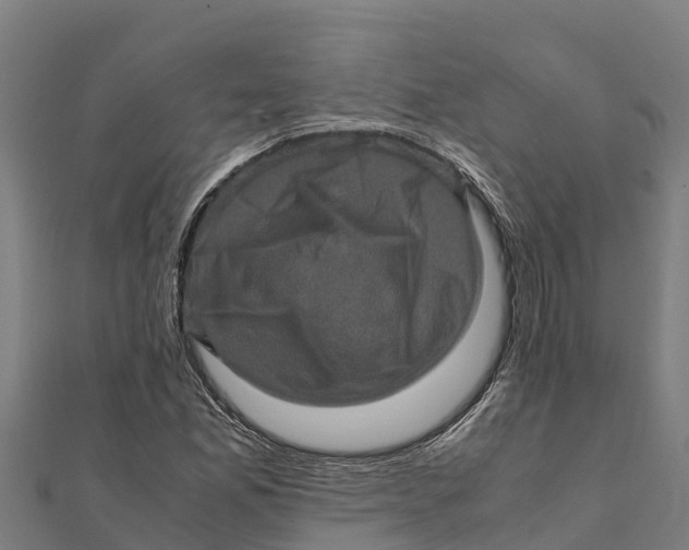X0000111601165200908131356