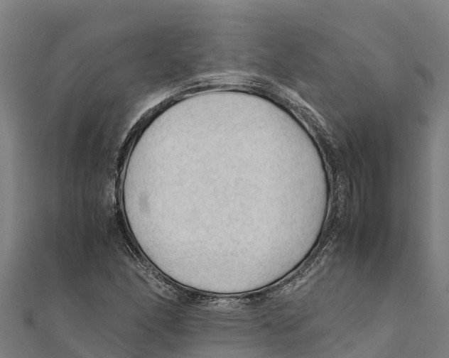 X0000111601166200908131356