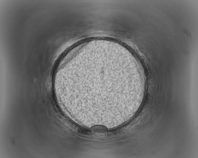 X0000111601167200908131356