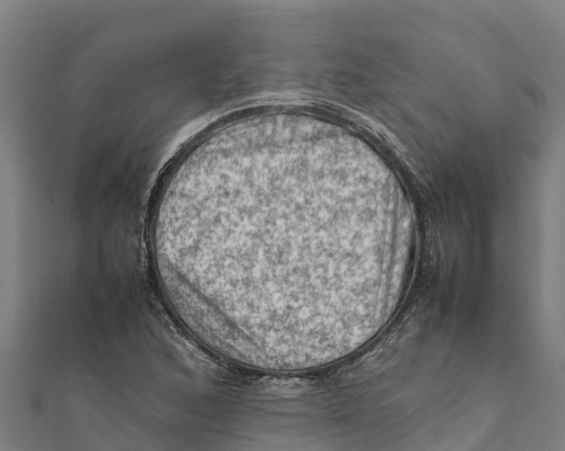 X0000111601168200908131356
