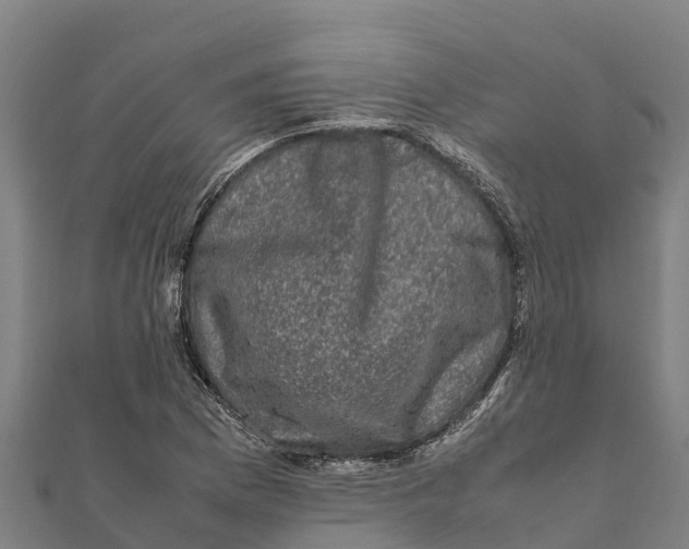 X0000111601169200908131356