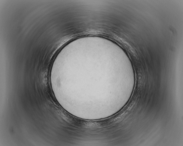 X0000111601170200908131356