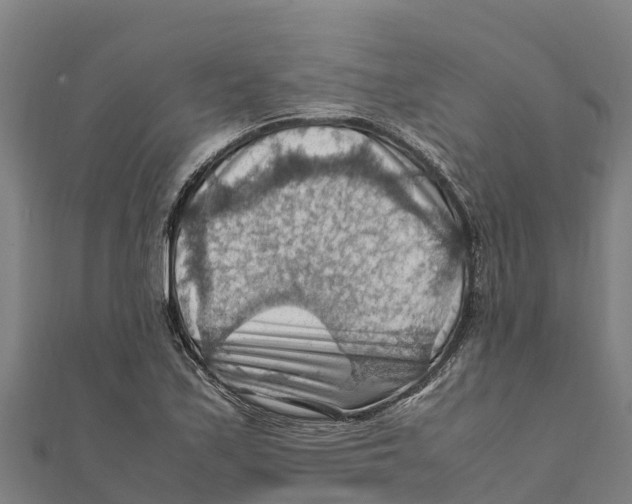 X0000111601171200908131356