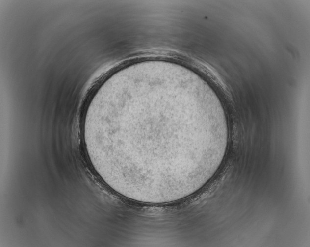 X0000111601172200908131356