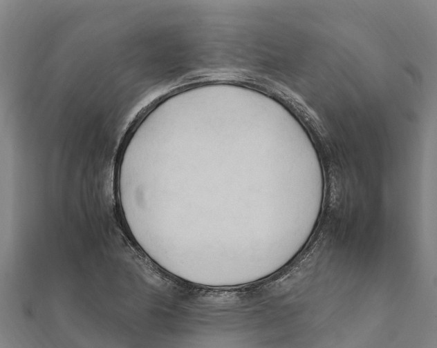 X0000111601174200908131356