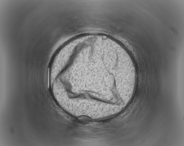 X0000111601175200908131356