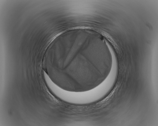 X0000111601177200908131356