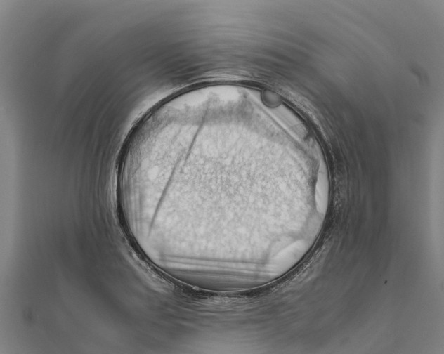 X0000111601179200908131356