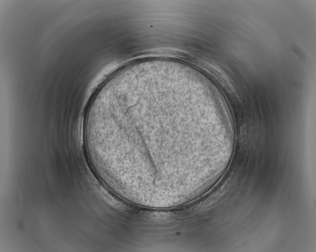 X0000111601180200908131356