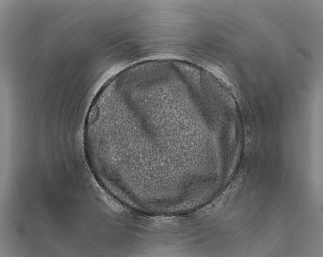 X0000111601181200908131356