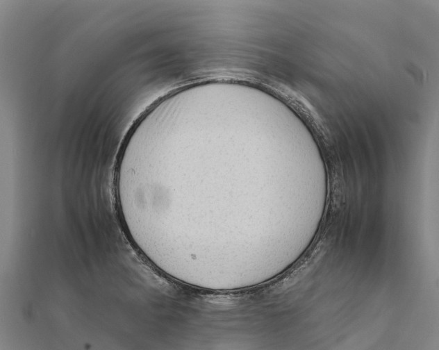 X0000111601182200908131356