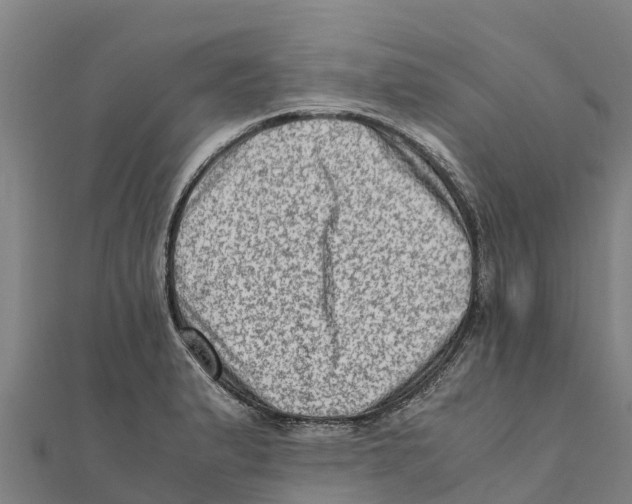 X0000111601183200908131356