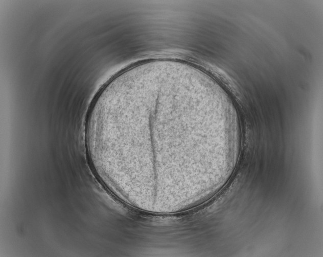 X0000111601184200908131356