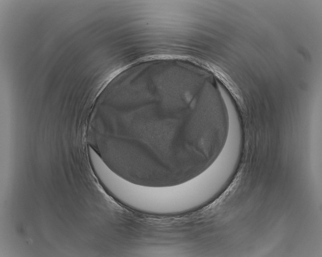 X0000111601185200908131356