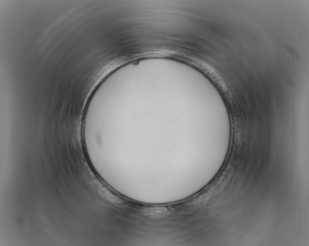 X0000111601186200908131356