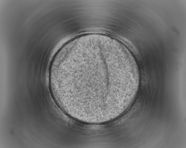 X0000111601188200908131356