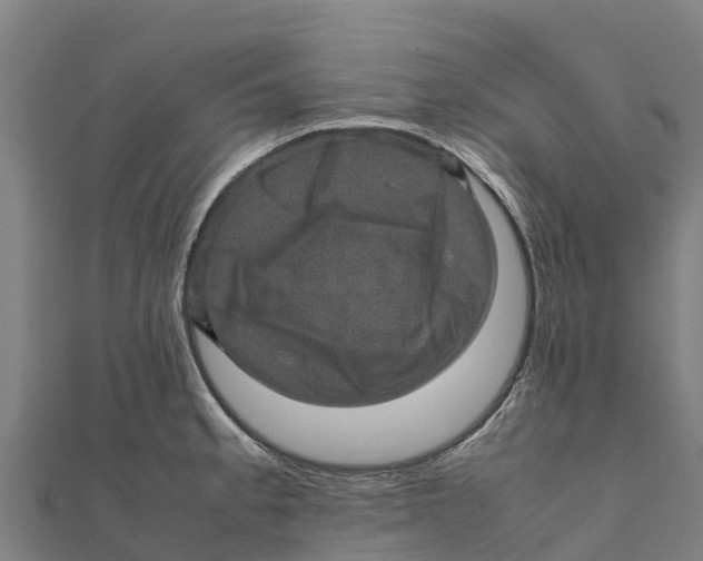 X0000111601189200908131356