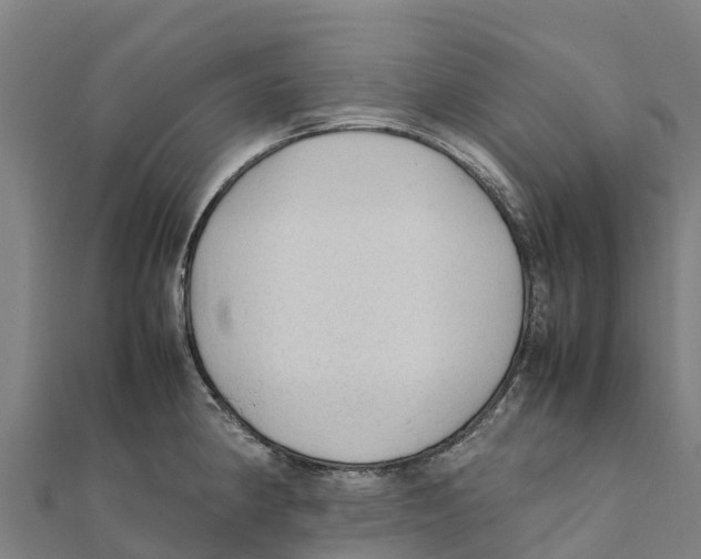 X0000111601190200908131356