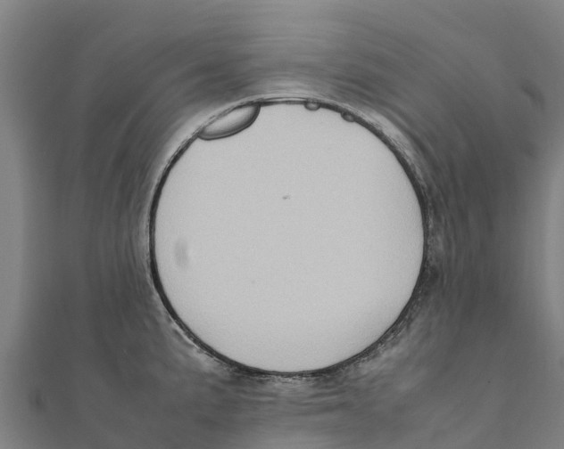X0000111601191200908131356