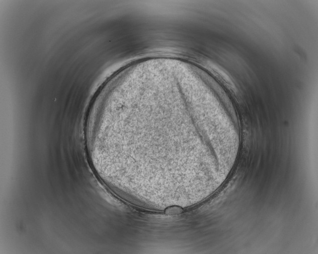 X0000111601192200908131356