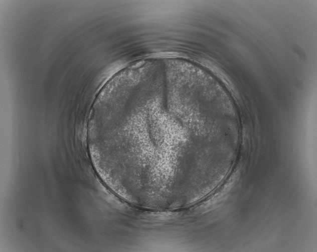 X0000111601193200908131356
