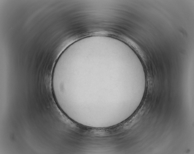 X0000111601194200908131356