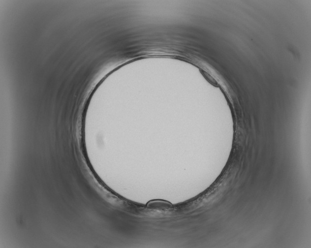 X0000111601195200908131356