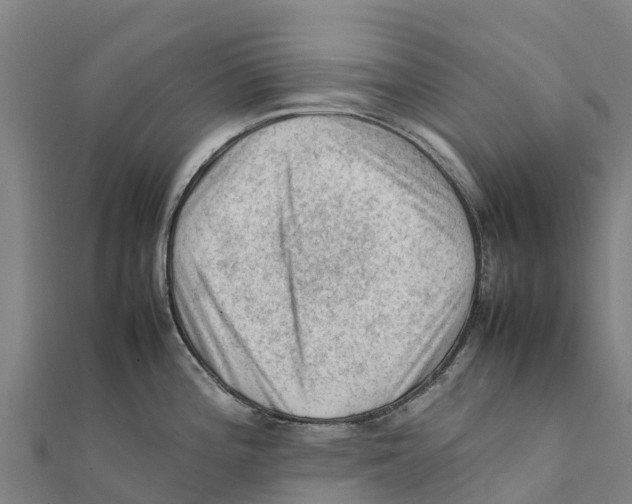 X0000111601196200908131356