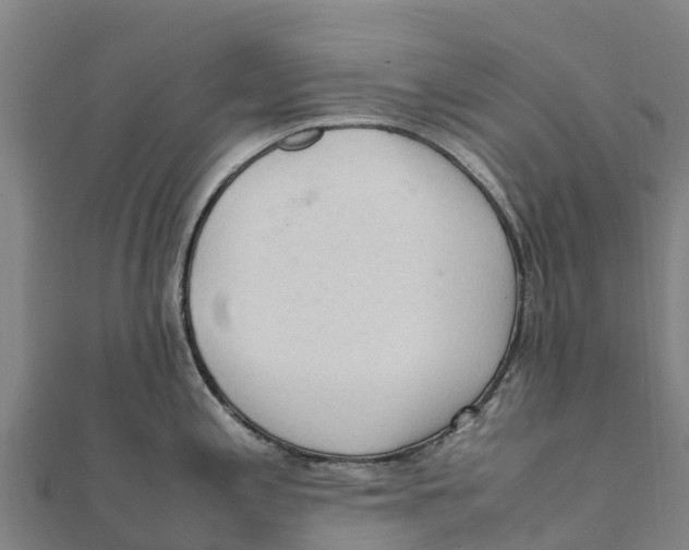 X0000111601197200908131356