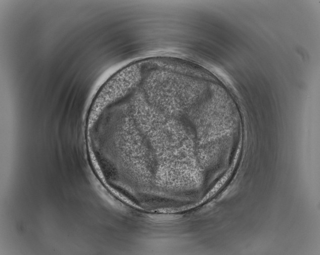 X0000111601200200908131356